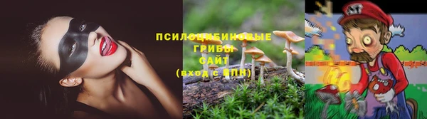 ALPHA PVP Алексеевка