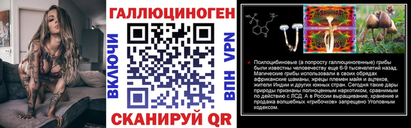 Псилоцибиновые грибы Psilocybe  как найти наркотики  мориарти какой сайт  Боготол 
